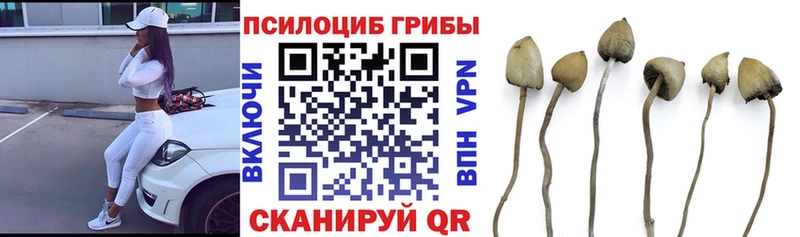 Галлюциногенные грибы Magic Shrooms  цены наркотик  mega ONION  Среднеколымск 